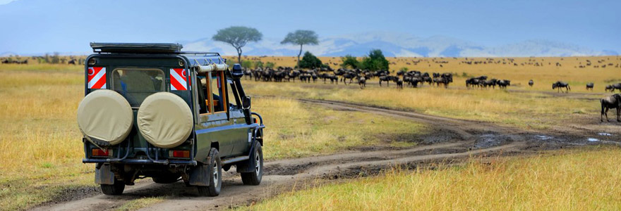 safari en Tanzanie