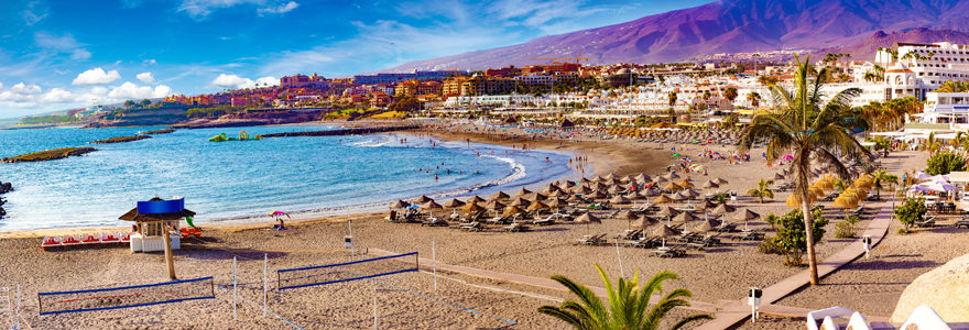 Canaries